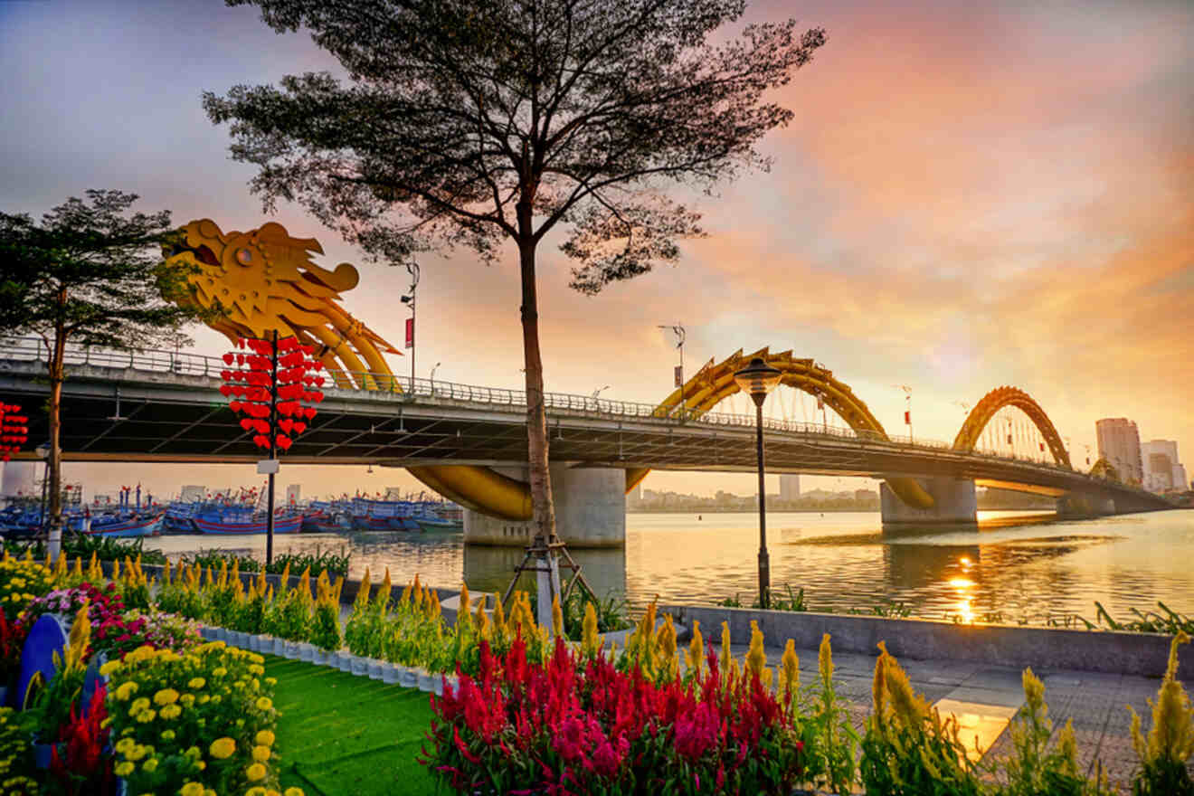 Sunset view of the iconic Dragon Bridge in Da Nang, Vietnam, with its golden dragon sculpture glowing against a vivid sky, flanked by lush floral arrangements and the tranquil Han River, a picturesque scene for backpackers exploring the city