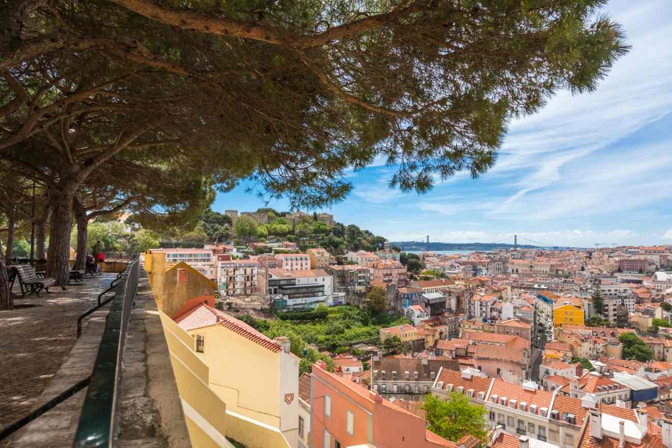 Scenic view from the Miradouro da Graça in Lisbon, with a large tree framing the historic castle of São Jorge and the cityscape extending to the Tagus River