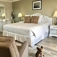 A cozy bedroom with a large white bed, classic furniture, soft beige tones, and a small dog sitting on the wooden floor