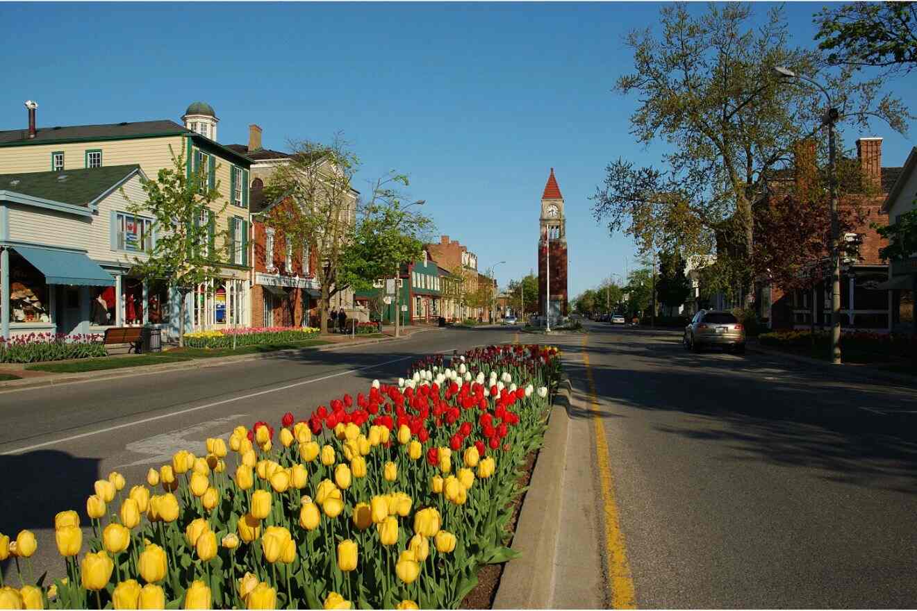 Charming street view in Niagara-on-the-Lake with colorful tulips in the foreground and the iconic clock tower in the distance under a clear blue sky.