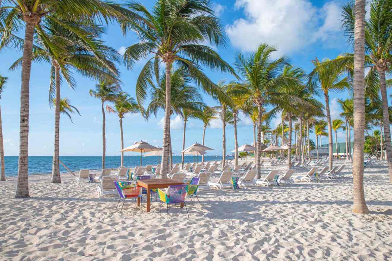 Serene beach setting with rows of sun loungers under the shade of tall palm trees facing the calm sea, inviting relaxation in Cancun's tropical paradise