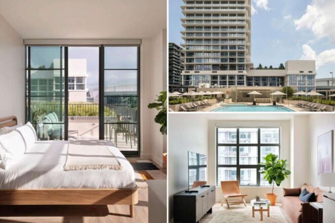 A collage of three images displaying inviting hotel accommodations in Tampa: A minimalist bedroom with a balcony overlooking an urban landscape, a rooftop pool surrounded by modern lounge settings, and a cozy living room with large windows and comfortable seating