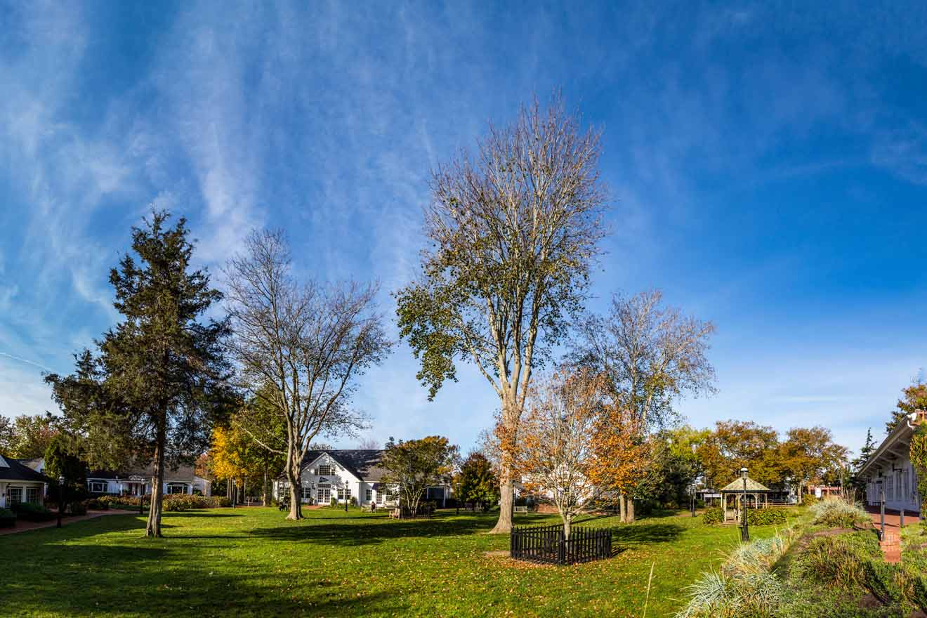 A serene family-friendly park in Amagansett with tall trees, a well-maintained green lawn, and charming white houses under a clear blue sky with wispy clouds.