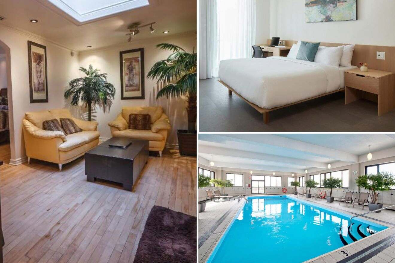 A collage of three hotel photos to stay in Le Plateau-Mont-Royal Montreal, displaying a cozy living space with plush sofas and indoor greenery, a pristine bedroom with a large comfortable bed, and a relaxing indoor swimming pool with deck chairs and potted plants