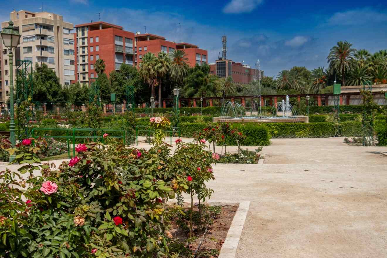 Lush rose garden in Benimaclet, Valencia, showcasing a variety of roses and a serene fountain