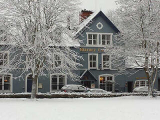 A charming hotel covered in snow with bare trees in the foreground, giving a cozy winter atmosphere