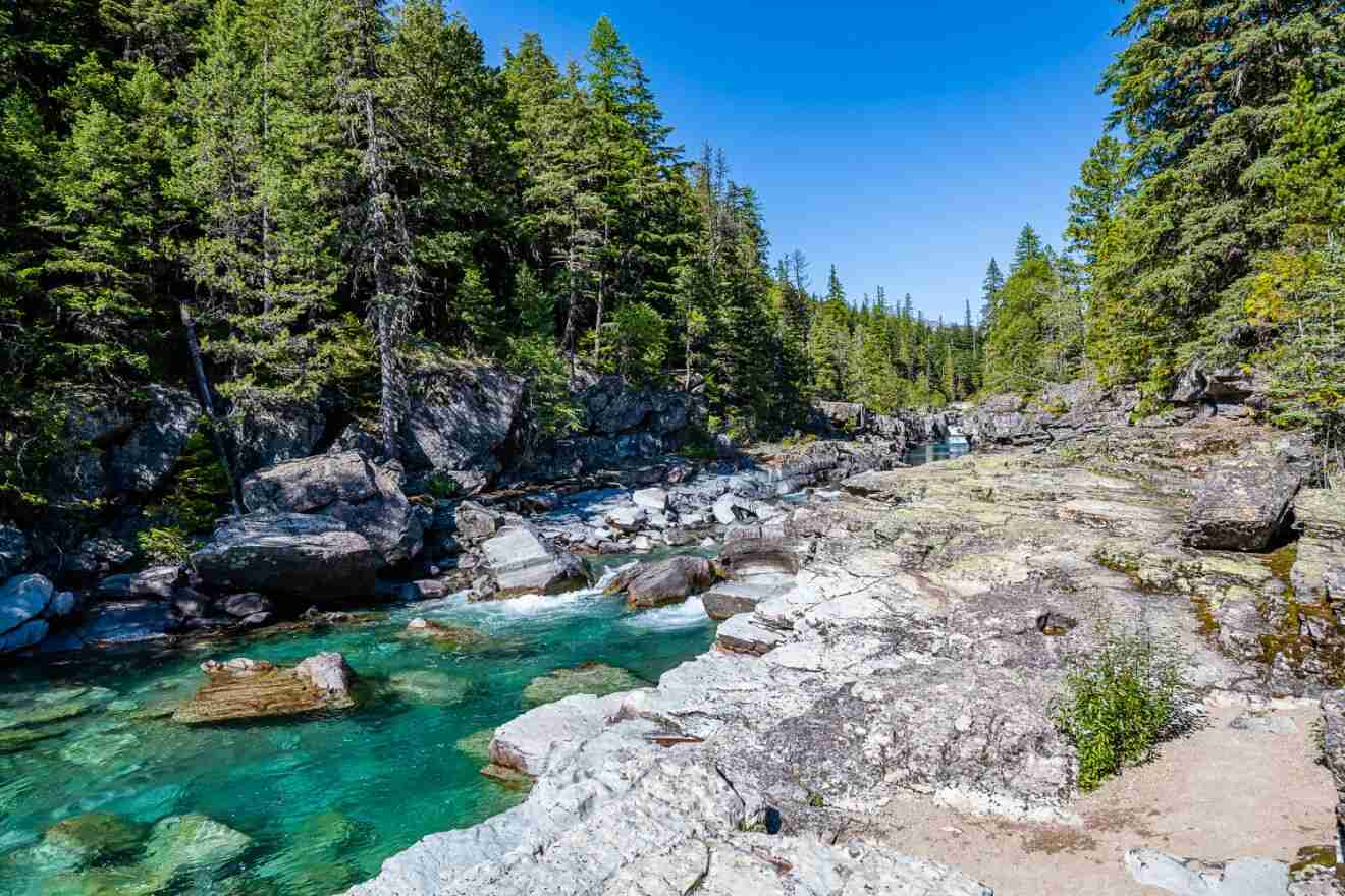 Clear turquoise waters of a rocky creek surrounded by dense green forest under a bright blue sky in Glacier National Park