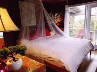 Romantic bedroom with a canopy bed, warm lighting, and a bonsai tree, creating a cozy retreat