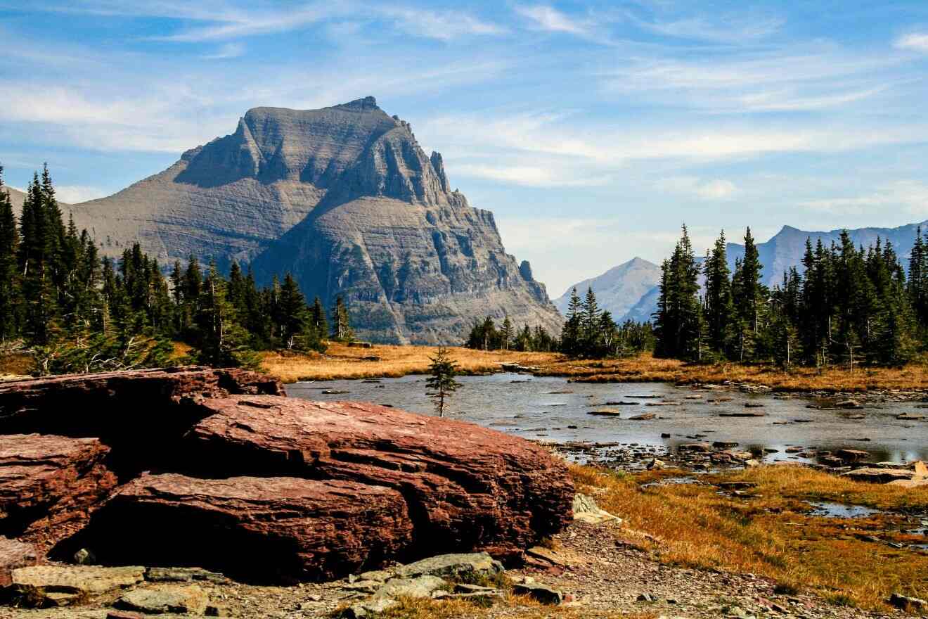 Iconic mountain peak in Glacier National Park with distinctive jagged cliffs, surrounded by a sparse pine forest and a marshy meadow