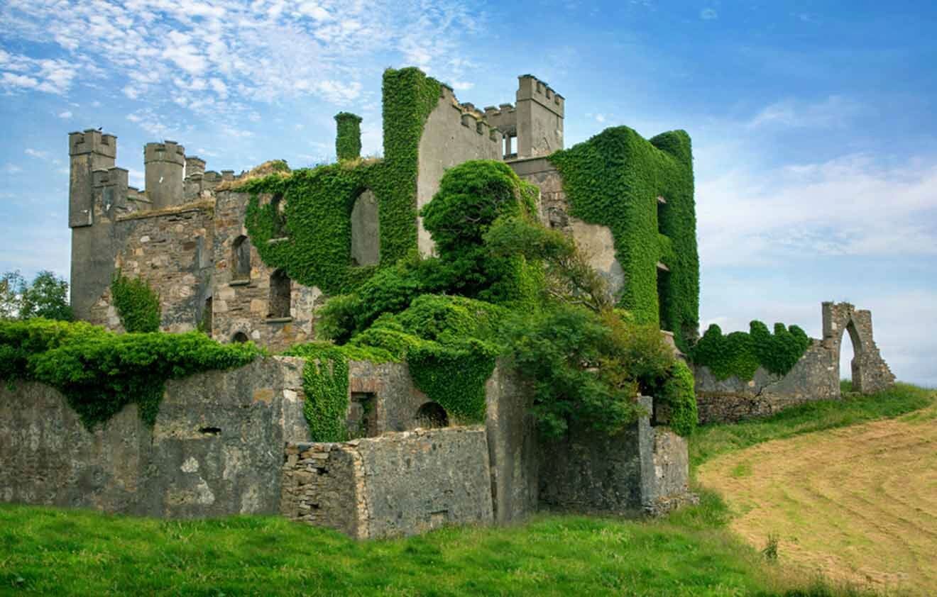 Ruins of an ancient castle overgrown with ivy, set against a blue sky with scattered clouds, surrounded by a lush green landscape.
