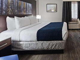 Elegant bedroom with a king-sized bed, white and navy blue bedding, and stylish gray wall accents