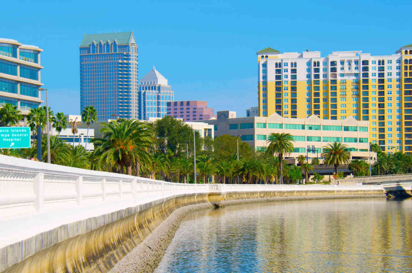 Waterfront view of Tampa with high-rises, palm trees, and a walkway along the water under a clear sky