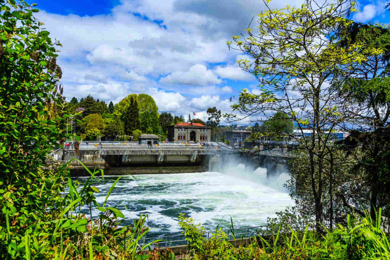 Vibrant view of the Ballard Locks in Seattle, with water rushing through the spillway, surrounded by lush greenery and a clear blue sky with fluffy clouds