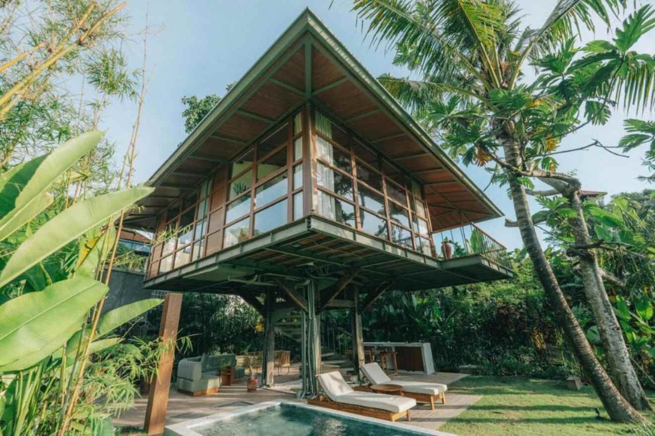 Elevated view of a unique treehouse-style lodging surrounded by lush tropical greenery, with a cozy outdoor seating area and sun loungers by a private pool