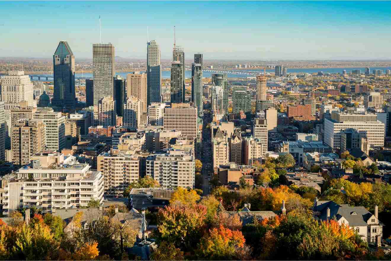 A sweeping view of the Montreal cityscape, showcasing skyscrapers, the autumn-colored trees, and a wide river in the distance, under a clear sky.