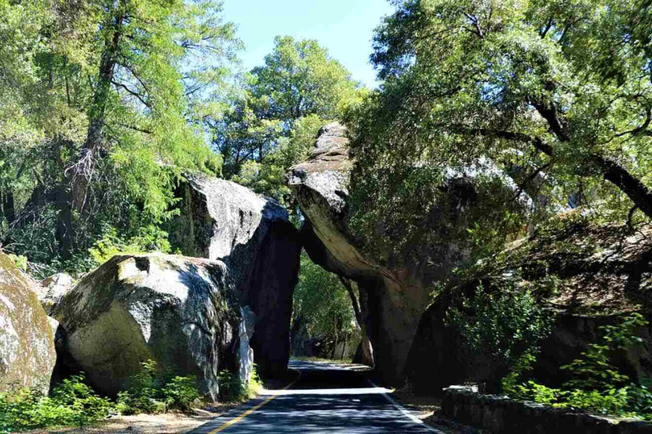 A natural rock arch over a road shaded by trees inside Yosemite National Park, creating a picturesque tunnel.