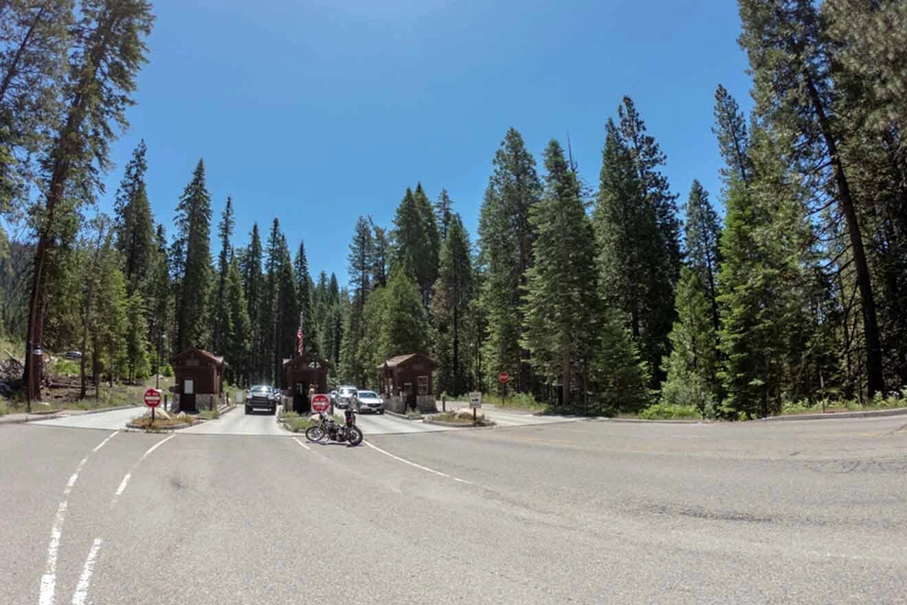 Entrance to a forested campground with cabins, marked by a stop sign and clear blue skies above.