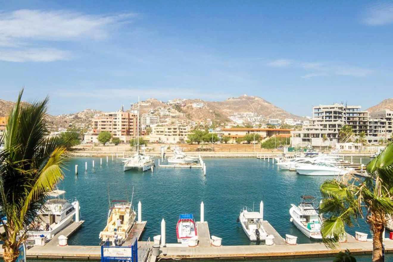 Overlooking a marina with clear waters, boats docked, and a cityscape in the background, set against a blue sky.