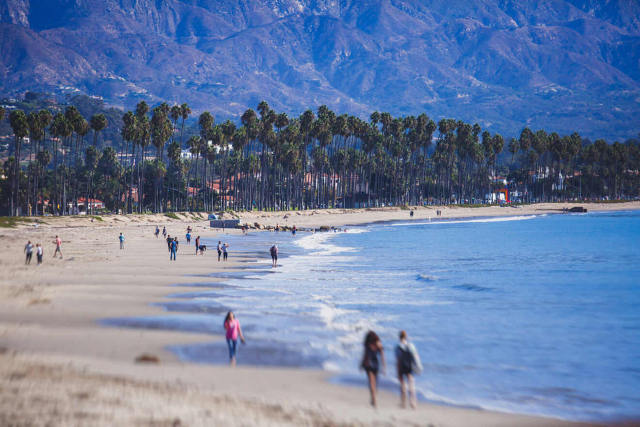 Scenic view of West Beach in Santa Barbara with visitors enjoying the vast sandy shore lined with tall palm trees, with the majestic Santa Ynez Mountains in the distance.