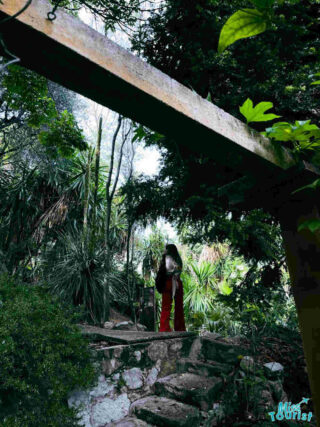 The writer of the post explores the lush greenery of the Val Rahmeh-Menton Botanical Garden in Menton, France, surrounded by exotic plants and a serene atmosphere
