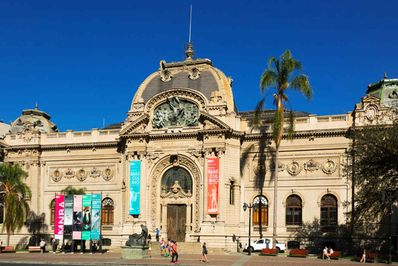 Neoclassical facade of the National Museum of Fine Arts in Santiago, Chile, with banners and a palm tree on a bright sunny day