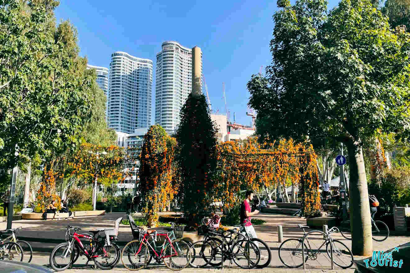 A peaceful daytime scene in the Sarona area of Tel Aviv, with cyclists and pedestrians enjoying the park amid modern buildings and autumn-colored trees