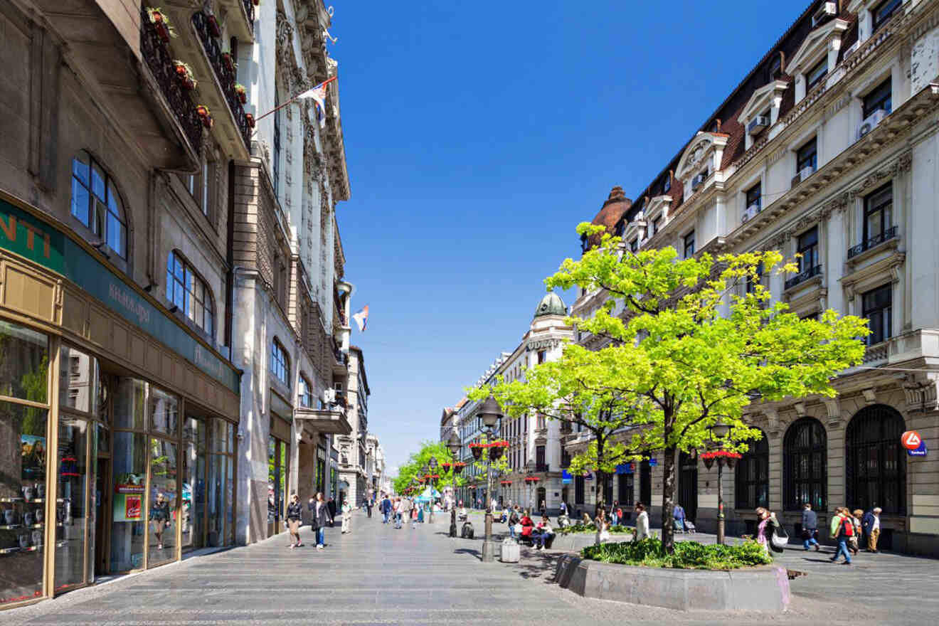 A vibrant pedestrian street in Belgrade, Knez Mihailova, bustling with people and lined with historic buildings and green trees