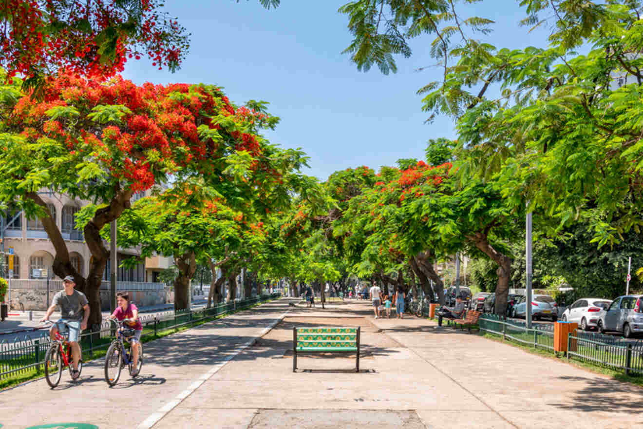 A lush boulevard lined with flowering trees and benches, with people biking and walking under the shade, in a vibrant urban environment