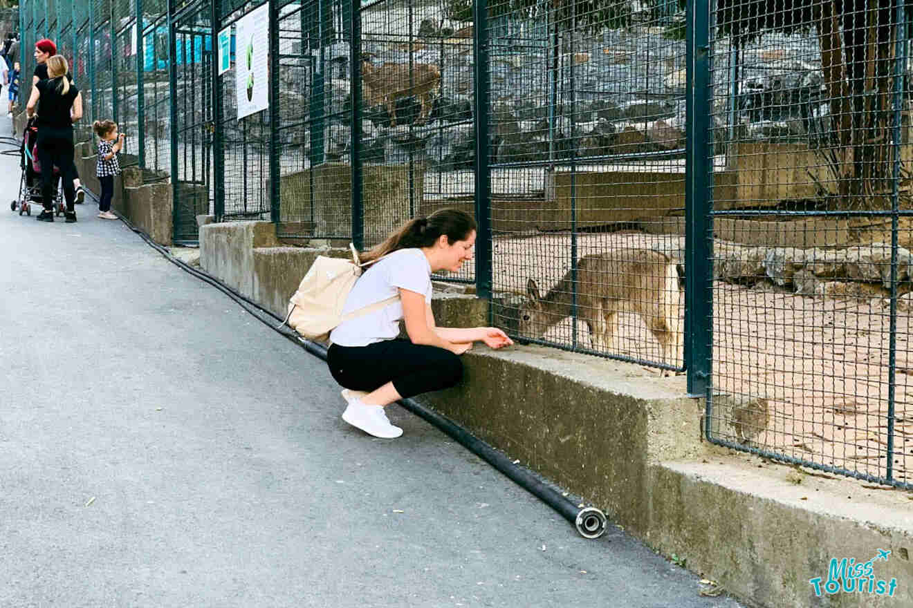 The writer of the post crouches to interact with animals at the Belgrade Zoo, highlighting the zoo's role as a family-friendly attraction