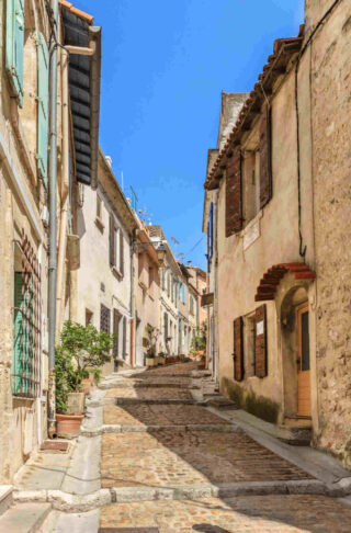 Charming cobblestone street in Arles, France, flanked by traditional old houses with shutters and pots of green plants