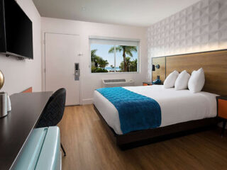 Modern room at Motel 6 Santa Barbara with a queen bed and palm tree view