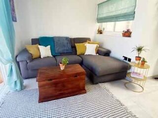A homely living room with a comfortable gray sectional sofa, patterned cushions, a wooden chest coffee table, and potted plants.