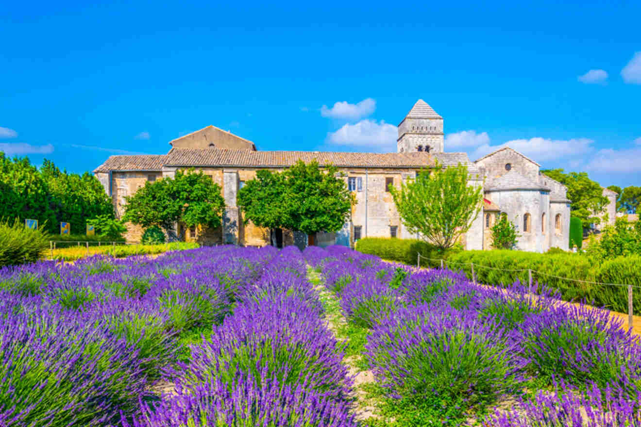 The Monastery of Saint-Paul de Mausole in Saint-Rémy-de-Provence, France, with vibrant purple lavender fields in the foreground and a clear blue sky above