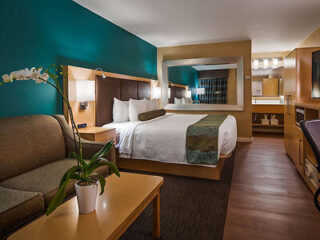 Spacious Hilton Garden Inn suite with a teal accent wall and cozy sitting area