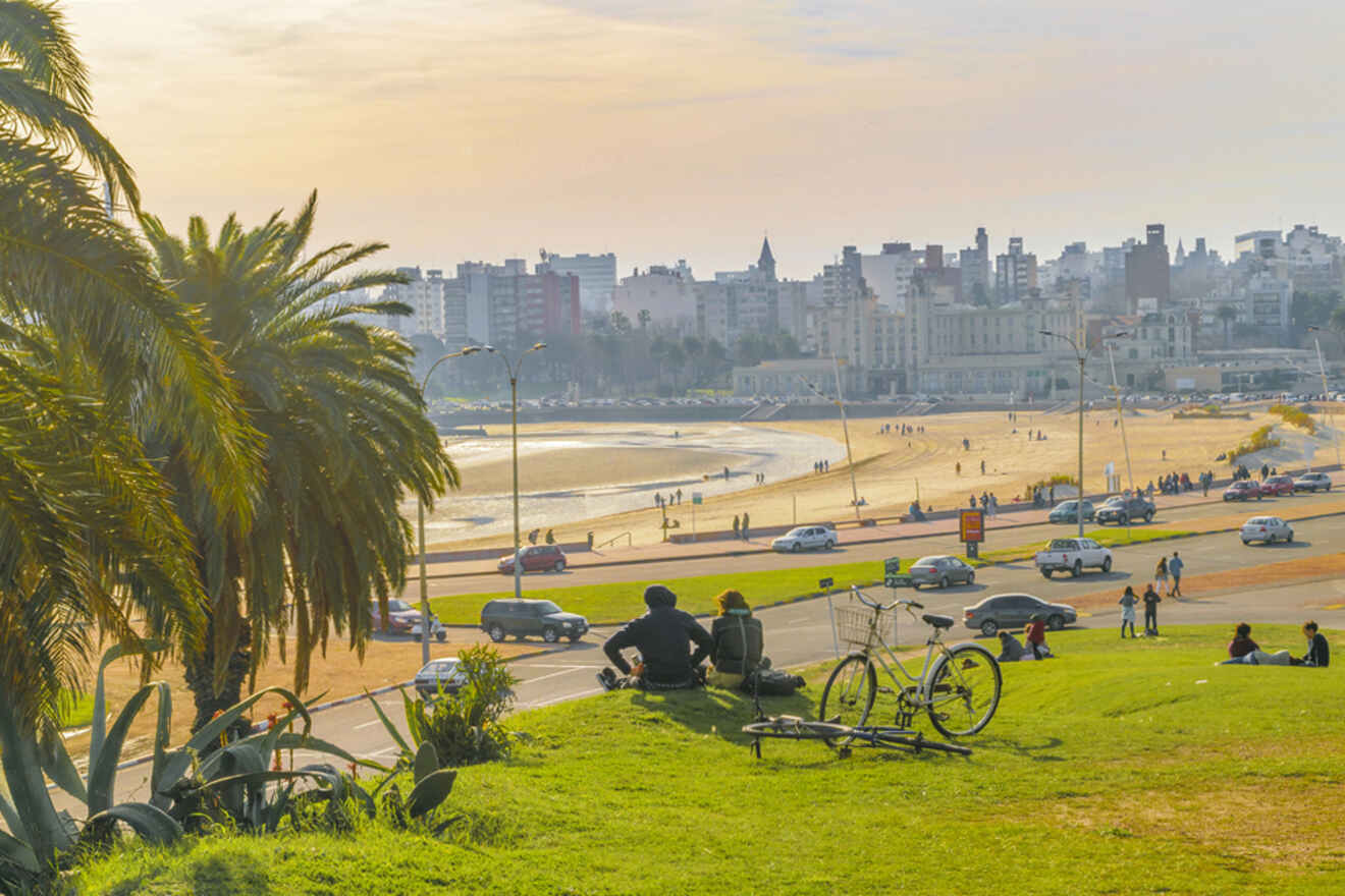 Late afternoon at a Montevideo coastline park, with people relaxing on the grass and enjoying the view of the beach and cityscape, while palm trees gently sway in the ocean breeze