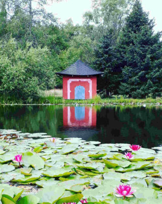 Serene setting of the Botanic Garden at Turku University, featuring a red gazebo surrounded by lush water lilies and reflective pond