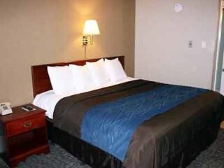 A simple hotel room with a queen bed, blue bed runner, and classic wooden furniture, providing basic and neat lodging.