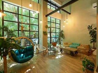 Modern hotel lobby with large windows, a variety of plants, and eclectic seating including a hanging egg chair.