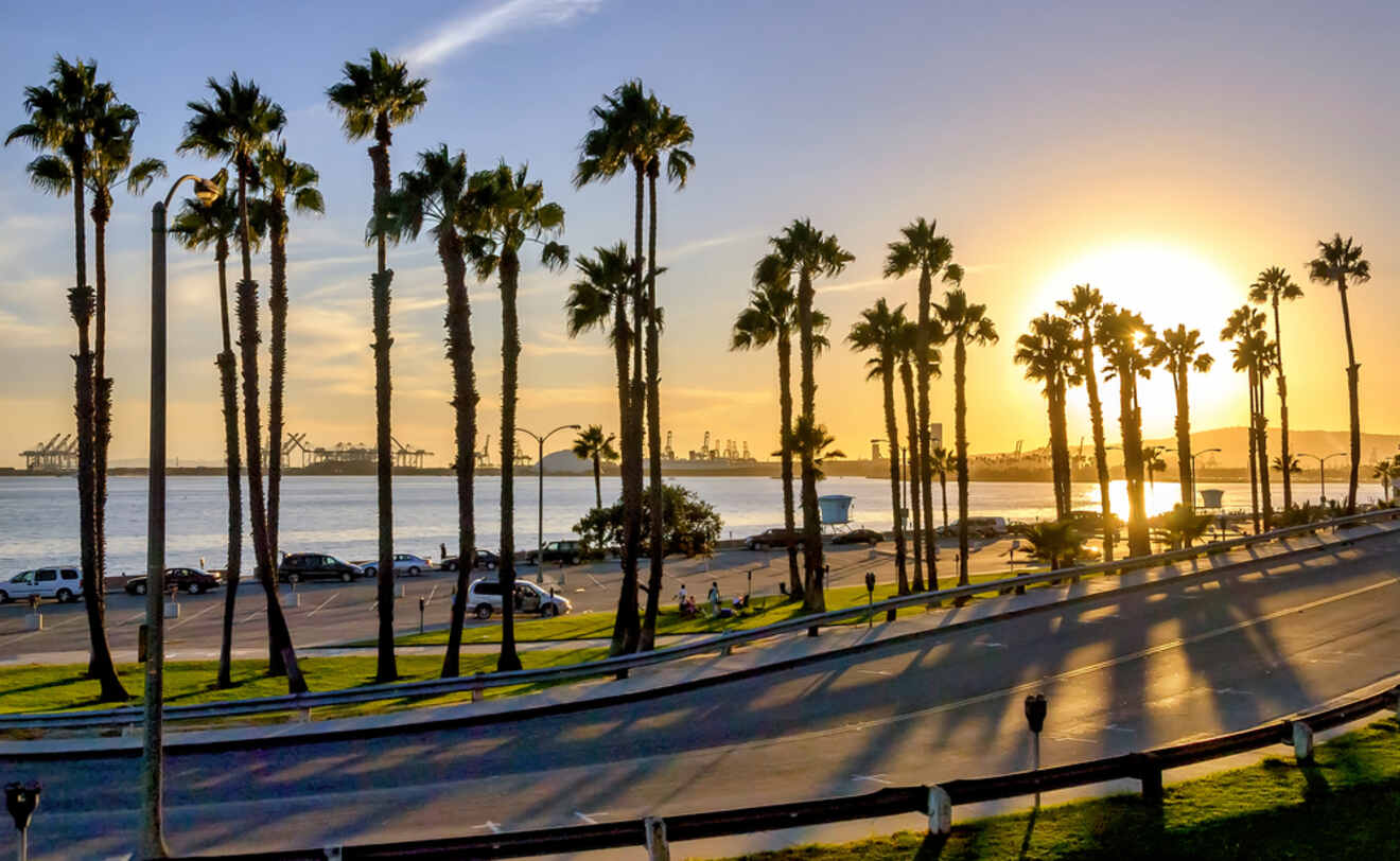 Sunset view at a coastal road in Long Beach, with silhouettes of tall palm trees lining the street and the glowing sun hovering over the water, creating a serene and picturesque evening atmosphere.