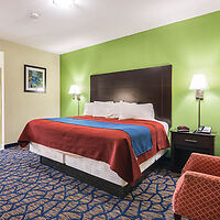 Colorful hotel room with a vibrant green wall, king-size bed with red and blue bedding, and a patterned blue carpet