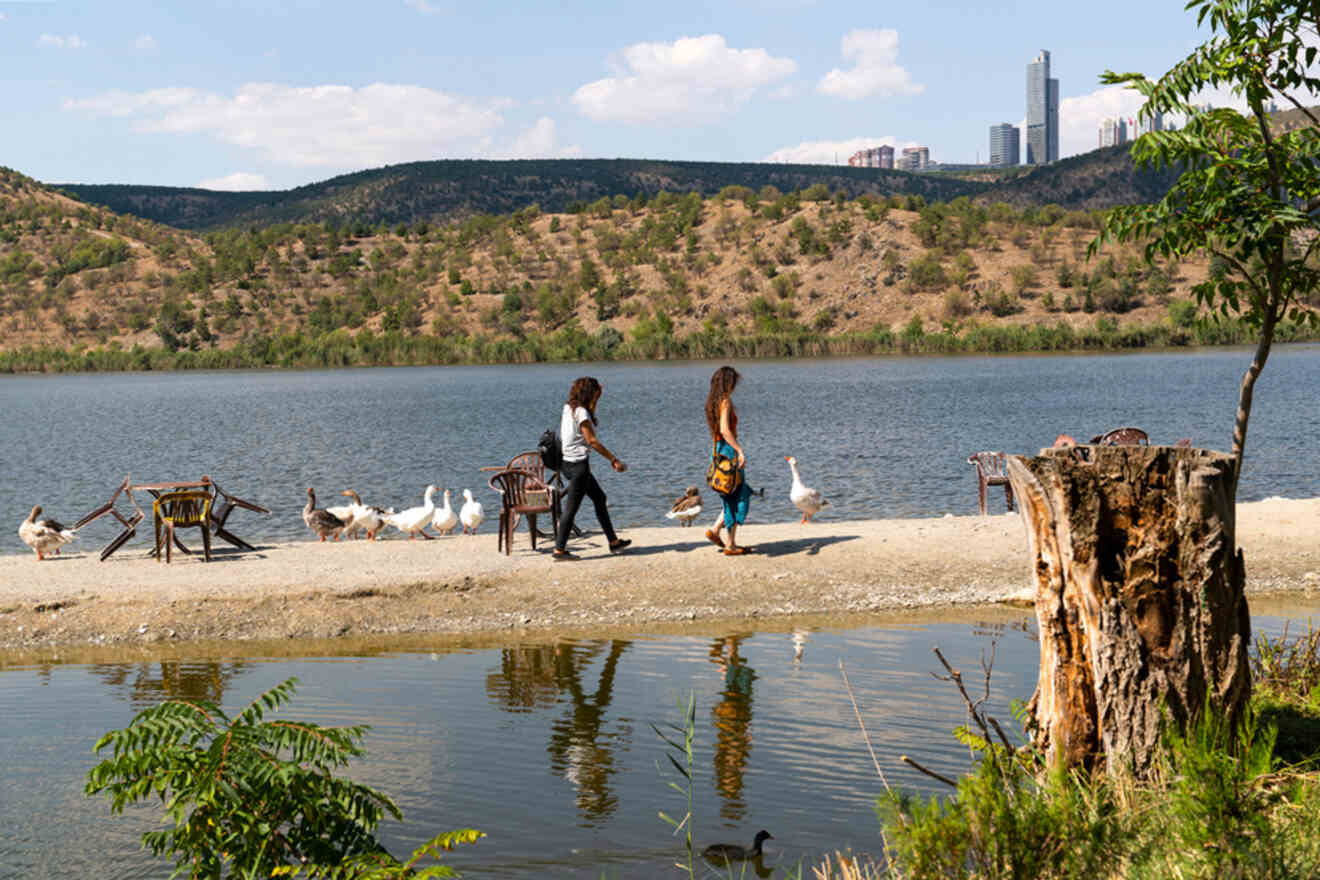 A serene lakeside path in METU Forest, Ankara, where people stroll and ducks gather, set against the picturesque backdrop of a calm lake and forested hills.