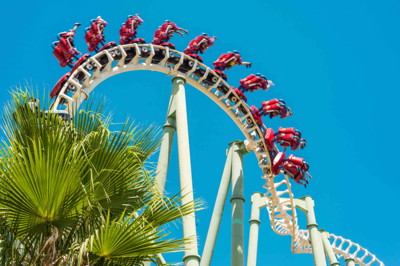 Thrilling roller coaster ride in Isla Mágica theme park, with red carriages inverting over a loop, set against a bright blue sky and tropical palm trees