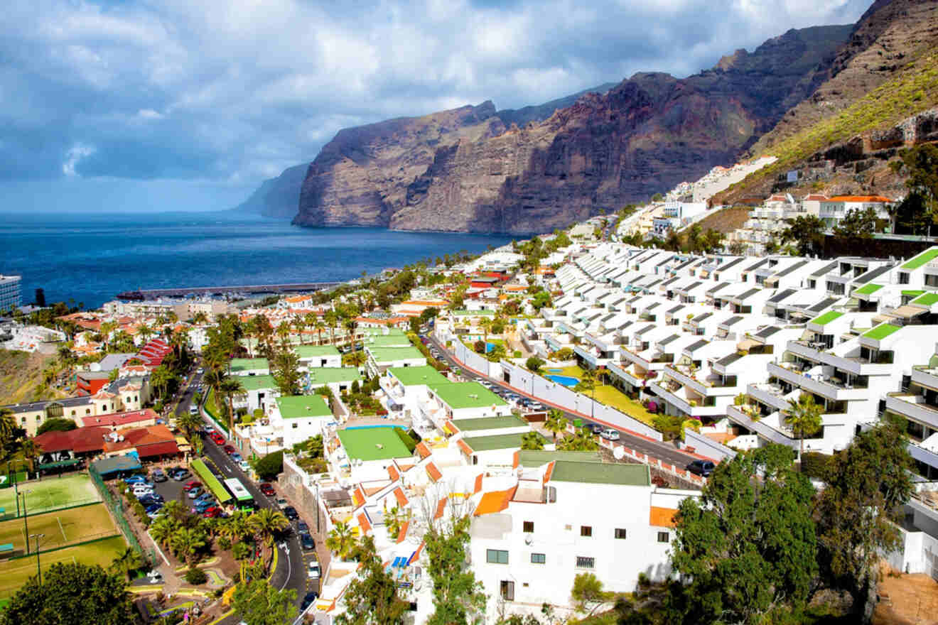 Aerial view of Los Gigantes showcasing the majestic cliffs, a variety of residential properties, and lush greenery leading down to the water's edge