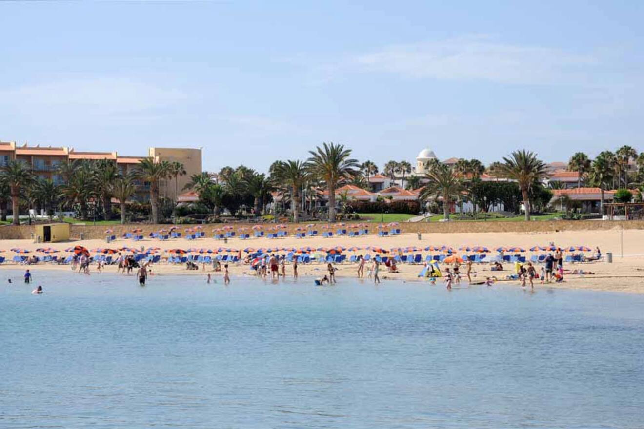 Crowded family-friendly beach in Fuerteventura, with rows of blue parasols and a backdrop of resort buildings and palm trees