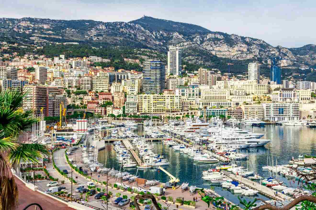 Bustling La Condamine harbor filled with yachts, surrounded by Monaco's dense urban housing and the lush greenery of Moneghetti