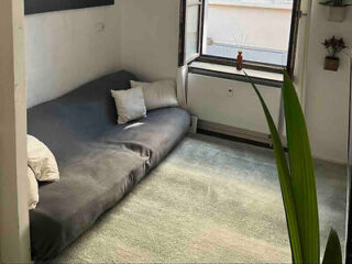 A compact yet cozy apartment room with a daybed, light carpeting, a plant in the foreground, and a simple window letting in natural light