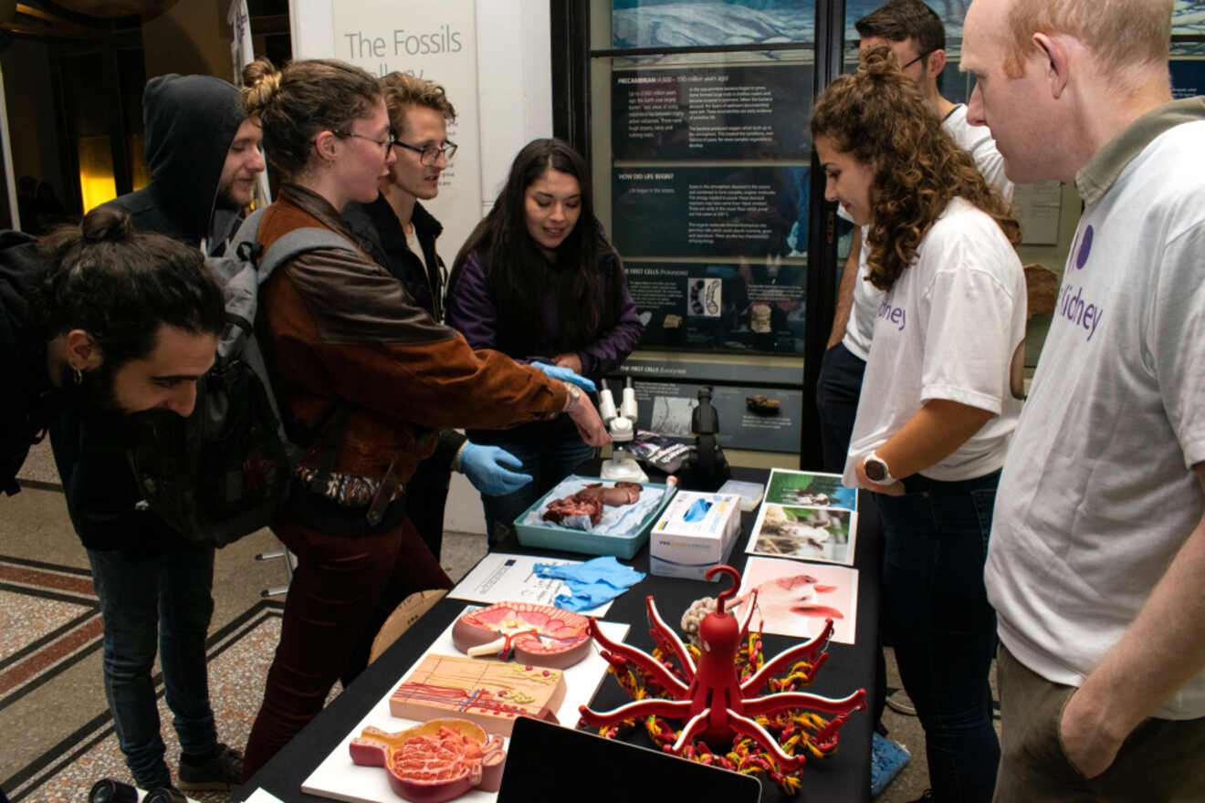 Interactive educational exhibit at Manchester Museum where visitors are engaged with marine animal models and fossil displays, guided by a staff member