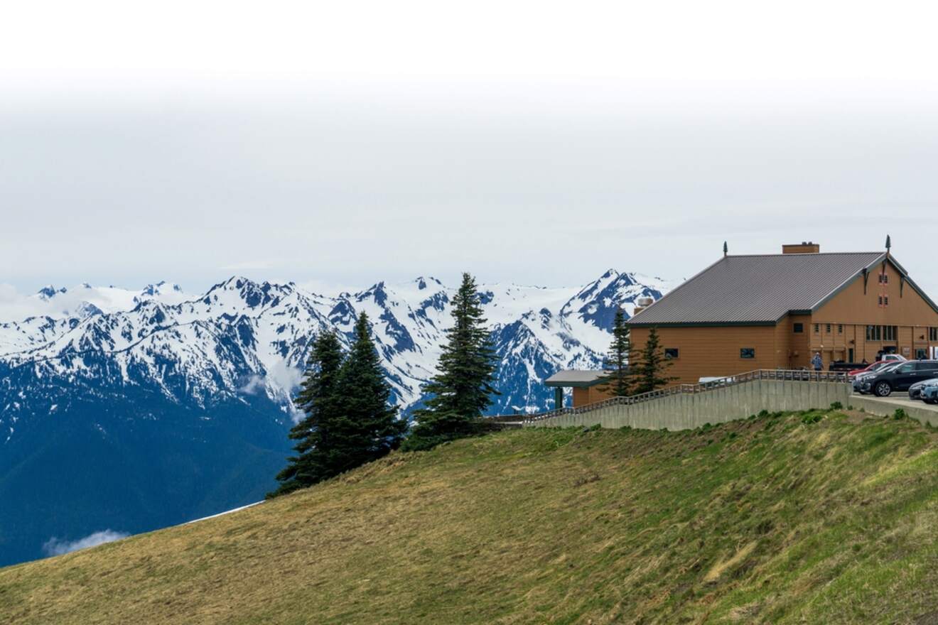 Visitor center or lodge on a hill with panoramic views of the Olympic mountain range, under an overcast sky, serving as a starting point for exploration within Olympic National Park