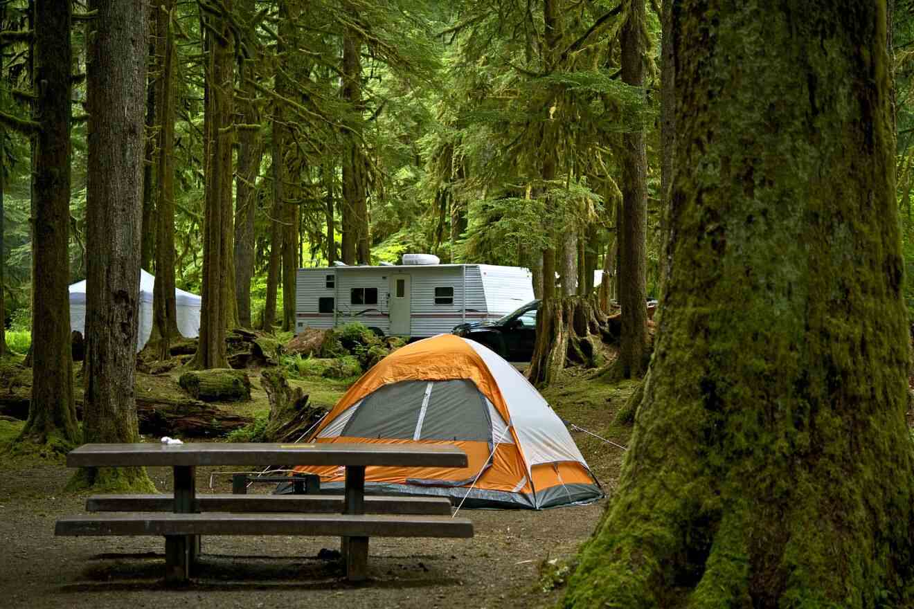 Camping site set amidst the towering, moss-covered trees of Olympic National Park with a tent and a trailer, highlighting the park's lush, dense forest environment