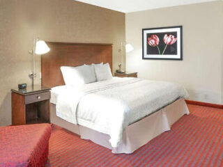 Cozy Hampton Inn bedroom with a patterned red carpet, comfortable queen bed, and floral wall art